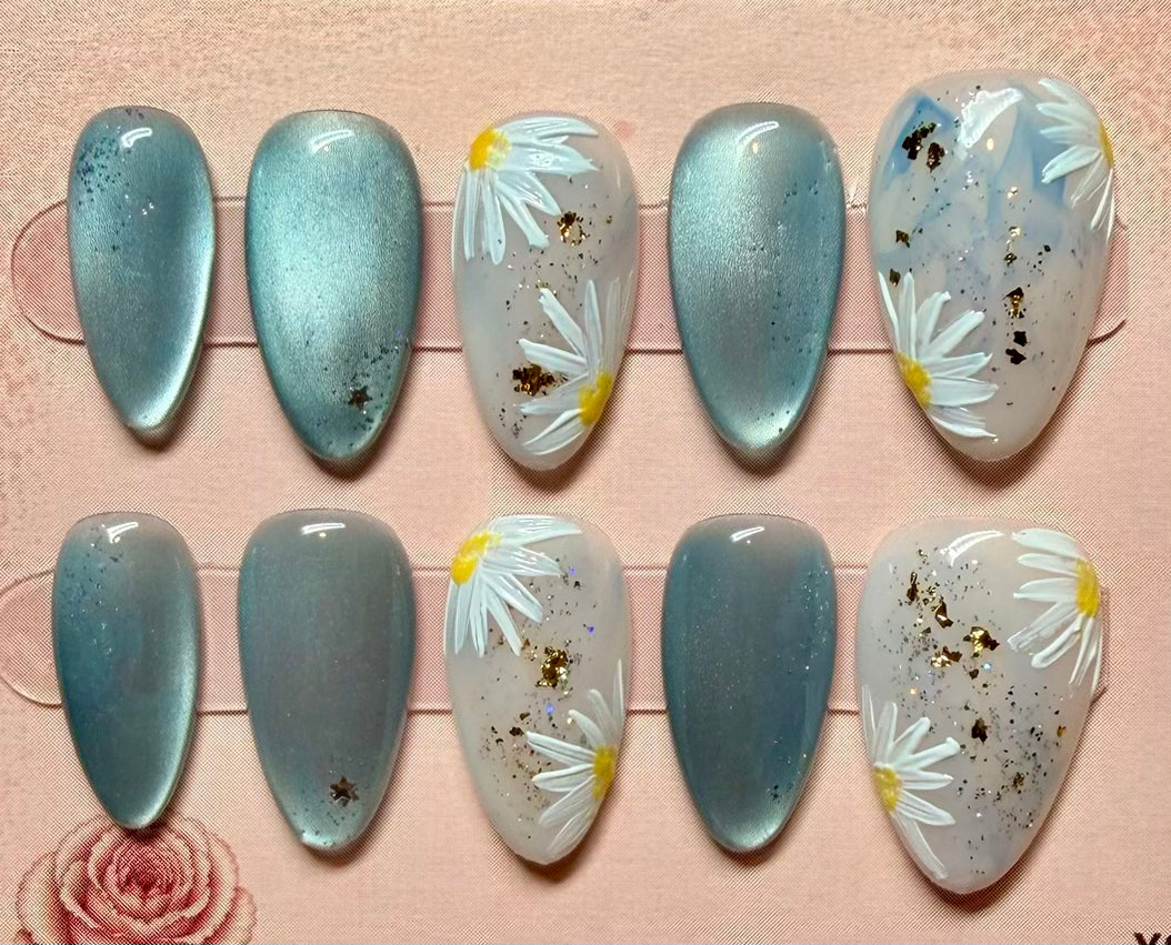 Ocean Daisy